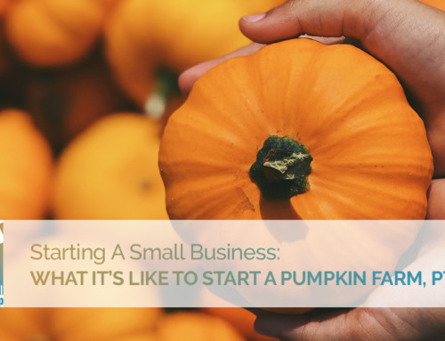 Starting A Small Business: What It’s Like To Start A Pumpkin Farm, Pt. 2